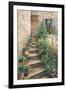 Stairway in Provence-Roger Duvall-Framed Premium Giclee Print