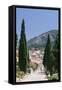 Stairway to Calvary, Behind Monastery on Puig De Maria Mountain, Pollenca-Markus Lange-Framed Stretched Canvas