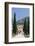 Stairway to Calvary, Behind Monastery on Puig De Maria Mountain, Pollenca-Markus Lange-Framed Photographic Print