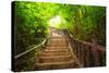Stairway to Forest, Erawan National Park,Kanchanburi,Thailand-lkunl-Stretched Canvas