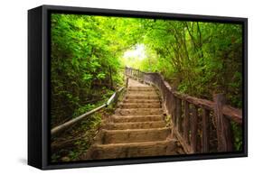 Stairway to Forest, Erawan National Park,Kanchanburi,Thailand-lkunl-Framed Stretched Canvas