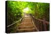 Stairway to Forest, Erawan National Park,Kanchanburi,Thailand-lkunl-Stretched Canvas