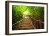 Stairway to Forest, Erawan National Park,Kanchanburi,Thailand-lkunl-Framed Photographic Print