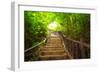 Stairway to Forest, Erawan National Park,Kanchanburi,Thailand-lkunl-Framed Photographic Print