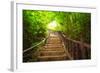 Stairway to Forest, Erawan National Park,Kanchanburi,Thailand-lkunl-Framed Photographic Print