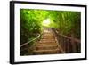 Stairway to Forest, Erawan National Park,Kanchanburi,Thailand-lkunl-Framed Photographic Print