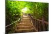 Stairway to Forest, Erawan National Park,Kanchanburi,Thailand-lkunl-Mounted Photographic Print
