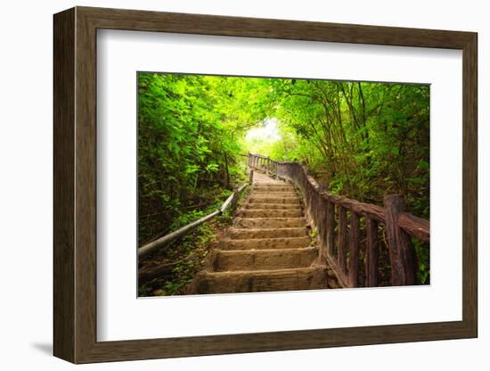 Stairway to Forest, Erawan National Park,Kanchanburi,Thailand-lkunl-Framed Photographic Print