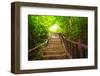Stairway to Forest, Erawan National Park,Kanchanburi,Thailand-lkunl-Framed Photographic Print