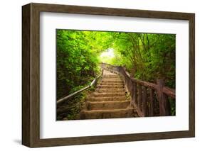 Stairway to Forest, Erawan National Park,Kanchanburi,Thailand-lkunl-Framed Photographic Print