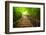 Stairway to Forest, Erawan National Park,Kanchanburi,Thailand-lkunl-Framed Photographic Print