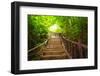 Stairway to Forest, Erawan National Park,Kanchanburi,Thailand-lkunl-Framed Photographic Print