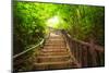 Stairway to Forest, Erawan National Park,Kanchanburi,Thailand-lkunl-Mounted Photographic Print