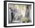 Black Frame