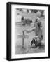 Black Frame