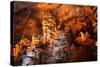 Stalactite Stalagmite Cavern.-liliportfolio-Stretched Canvas
