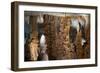 Stalactite Stalagmite Cavern-sergey02-Framed Photographic Print