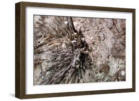 Stalactite-Alessandro dyd-Framed Photographic Print