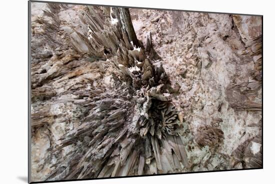 Stalactite-Alessandro dyd-Mounted Photographic Print