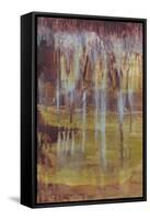 Stalactites I-Jennifer Goldberger-Framed Stretched Canvas