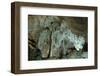 Stalactites in a cave-Natalie Tepper-Framed Photo