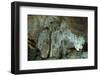 Stalactites in a cave-Natalie Tepper-Framed Photo