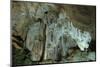 Stalactites in a cave-Natalie Tepper-Mounted Photo