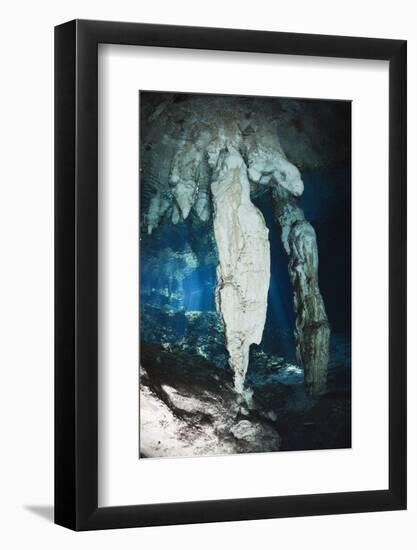 Stalactites in Gran Cenote, Tulum, Yucatan Peninsula, Mexico-Reinhard Dirscherl-Framed Photographic Print