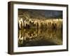 Stalactites Stalagmites, Louray Caverns, Virginia, USA-Merrill Images-Framed Photographic Print