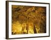 Stalactities on Ceiling of Damlatas Cavern-Murat Taner-Framed Photographic Print