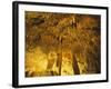 Stalactities on Ceiling of Damlatas Cavern-Murat Taner-Framed Photographic Print