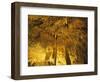 Stalactities on Ceiling of Damlatas Cavern-Murat Taner-Framed Photographic Print