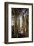 Stalagmite and stalactite caves-Natalie Tepper-Framed Photo