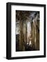 Stalagmite and stalactite caves-Natalie Tepper-Framed Photo