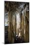 Stalagmite and stalactite caves-Natalie Tepper-Mounted Photo