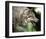 Stalking Gray Wolf-Joni Johnson-Godsy-Framed Giclee Print