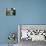 Stalking Gray Wolf-Joni Johnson-Godsy-Stretched Canvas displayed on a wall