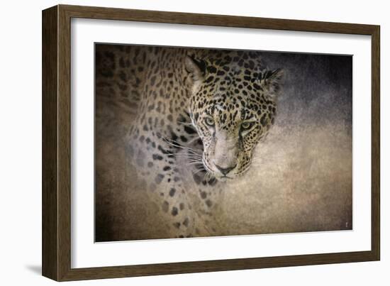 Stalking Her Prey Leopard-Jai Johnson-Framed Giclee Print