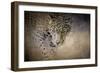 Stalking Her Prey Leopard-Jai Johnson-Framed Giclee Print