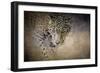 Stalking Her Prey Leopard-Jai Johnson-Framed Giclee Print