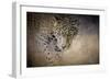 Stalking Her Prey Leopard-Jai Johnson-Framed Giclee Print