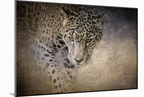 Stalking Her Prey Leopard-Jai Johnson-Mounted Giclee Print