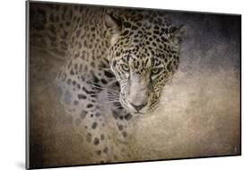 Stalking Her Prey Leopard-Jai Johnson-Mounted Giclee Print