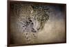 Stalking Her Prey Leopard-Jai Johnson-Framed Giclee Print