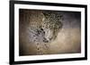 Stalking Her Prey Leopard-Jai Johnson-Framed Giclee Print