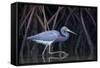 Stalking in the Mangroves-Greg Barsh-Framed Stretched Canvas