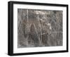 Stalking Leopard-Scott Bennion-Framed Photo