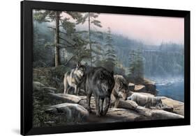 Stalking the Bluffs-Kevin Daniel-Framed Art Print