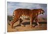 Stalking Tiger-Rosa Bonheur-Framed Giclee Print