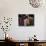 Stall in a Native American Street Market, Santa Fe, New Mexico, USA-Charles Sleicher-Mounted Photographic Print displayed on a wall